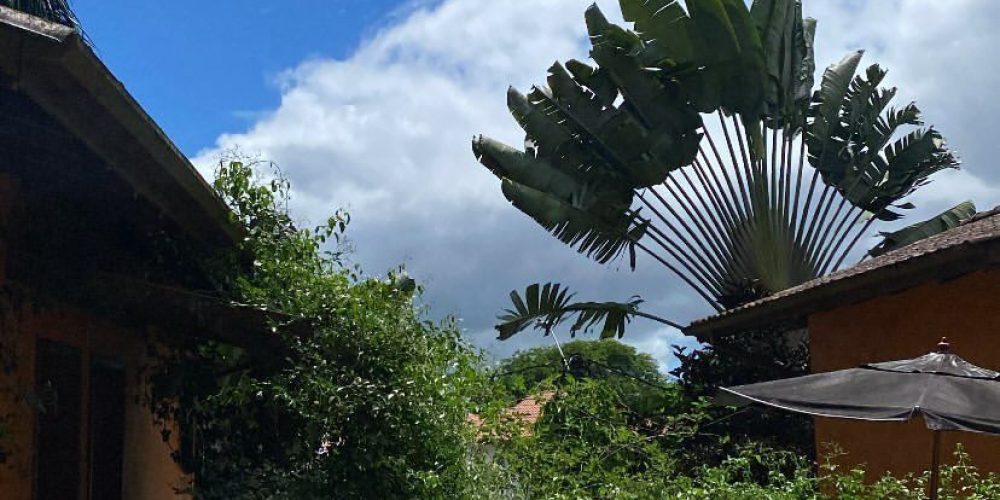 01b33004-0667-4b4b-903e-ef4659441e09