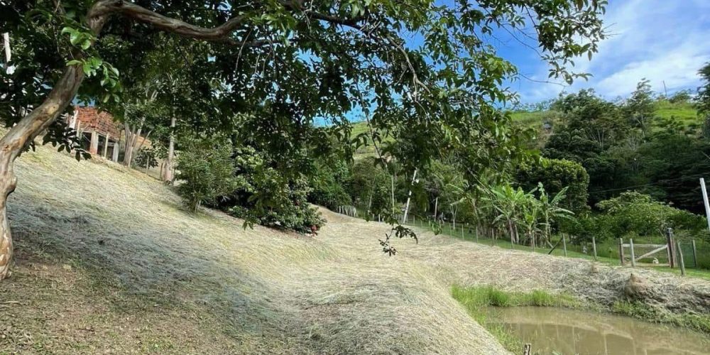 04b2d750-216b-450e-8014-907cb350c46b