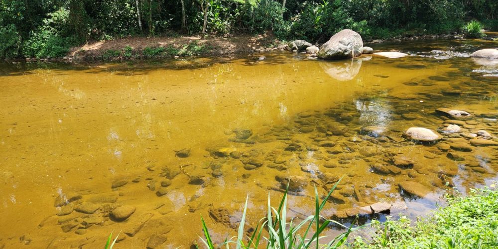 08c0df4a-05db-4c81-b061-52d01e898a9d