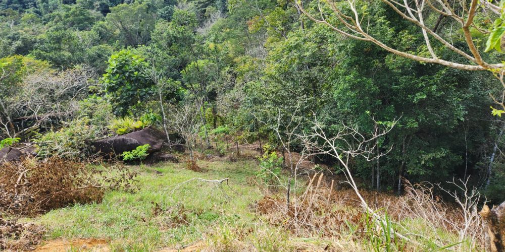 09a7a551-1814-43c0-9434-df861b9d91a6