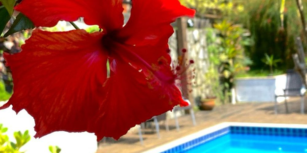 0a9275ca-426c-401d-a531-51407151144f