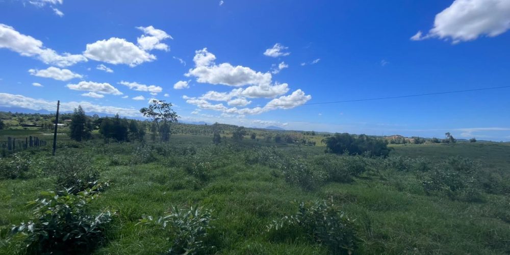 0b08577b-5f7f-491e-8111-0c3ded62952e