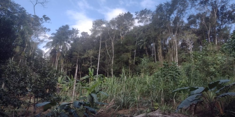 12e08fc5-0e8e-4ccc-bb0e-4c767053ba3d