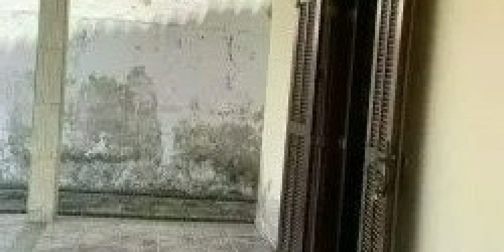 1381b94d-8606-4a22-955c-60c6aad6dfb1