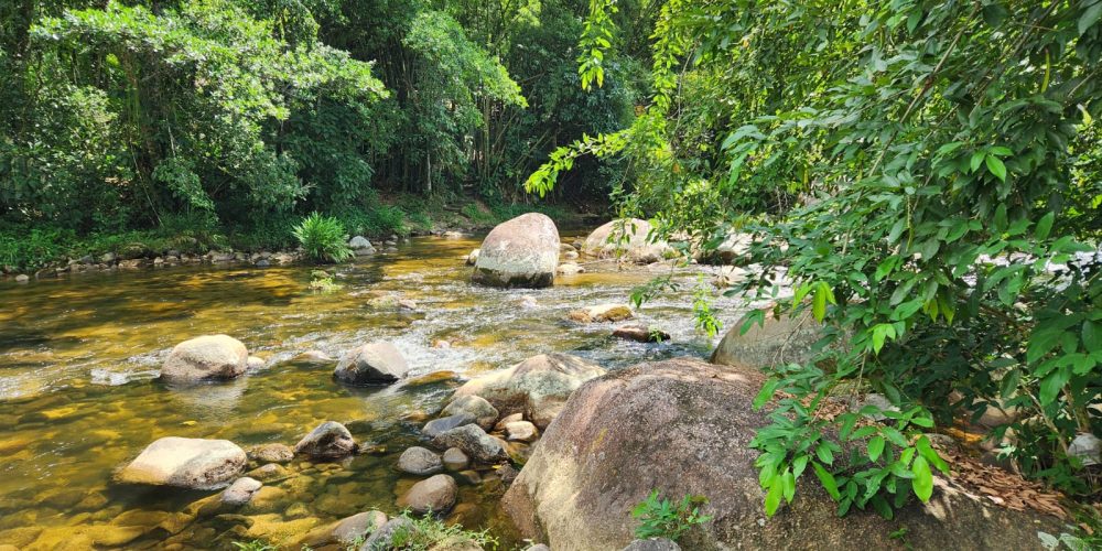 15ed0fc1-61b5-48a0-bd23-bef9d50433c2