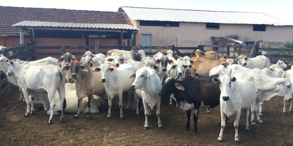 161be457-b595-4e5a-b250-fa165d3dfbd3 (1)