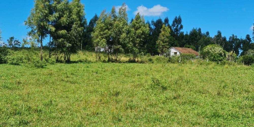 16c57912-30fc-4e05-882d-26ebd21c6f03