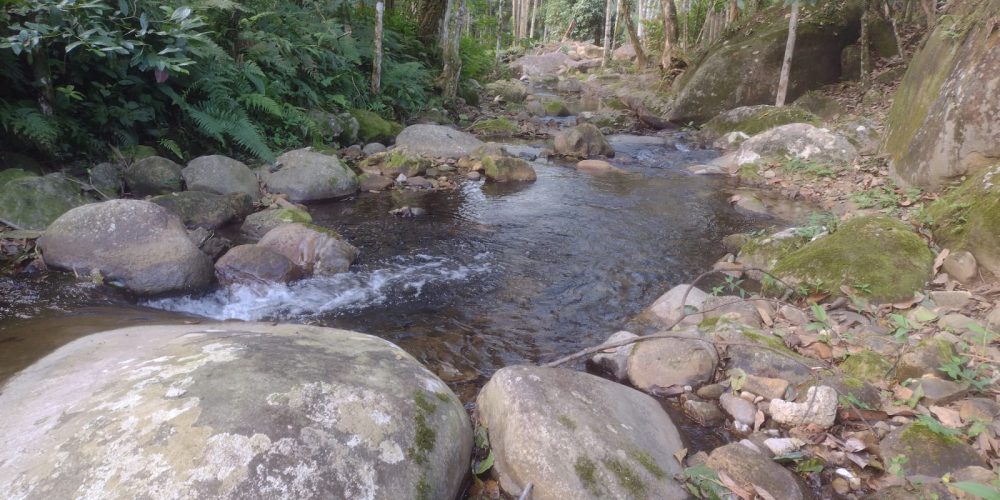 182e794c-1078-4b53-bcba-828c9818fbce