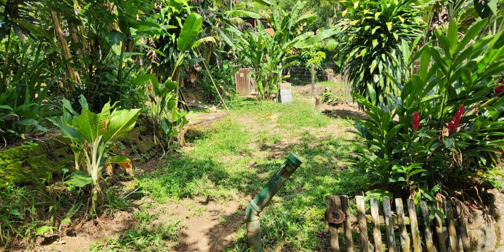 1915d088-6494-46c4-8eb8-b7c1a6280bac