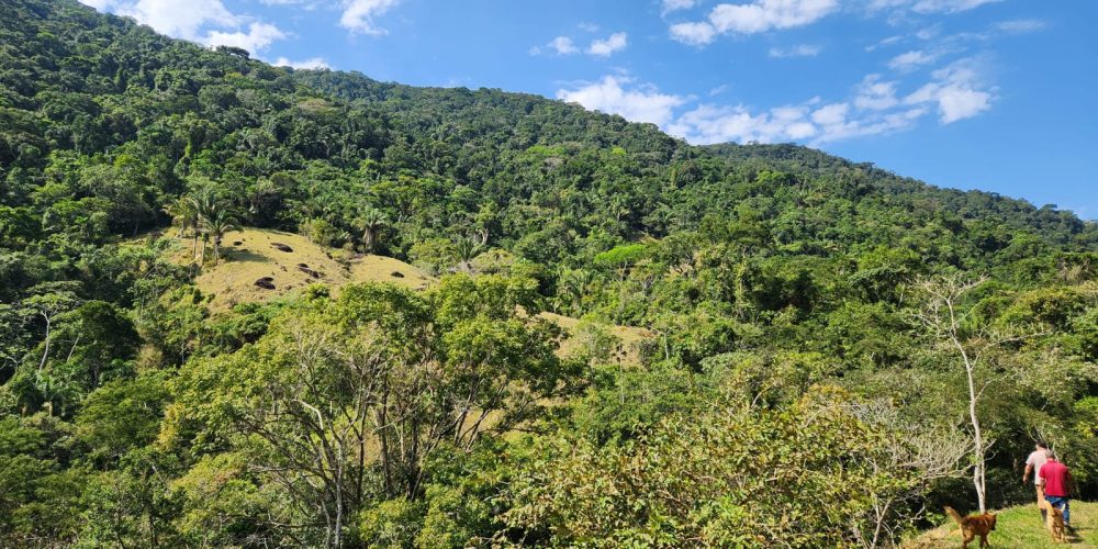 1a9c3f63-f567-40cb-93a5-564946a31de9