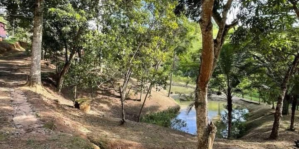 1e7c5108-af4f-4f7f-92cb-02b7b028eadd