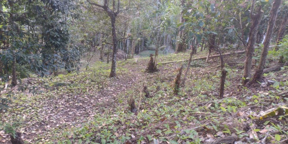 2278179f-6993-4971-9207-1563bb774a11