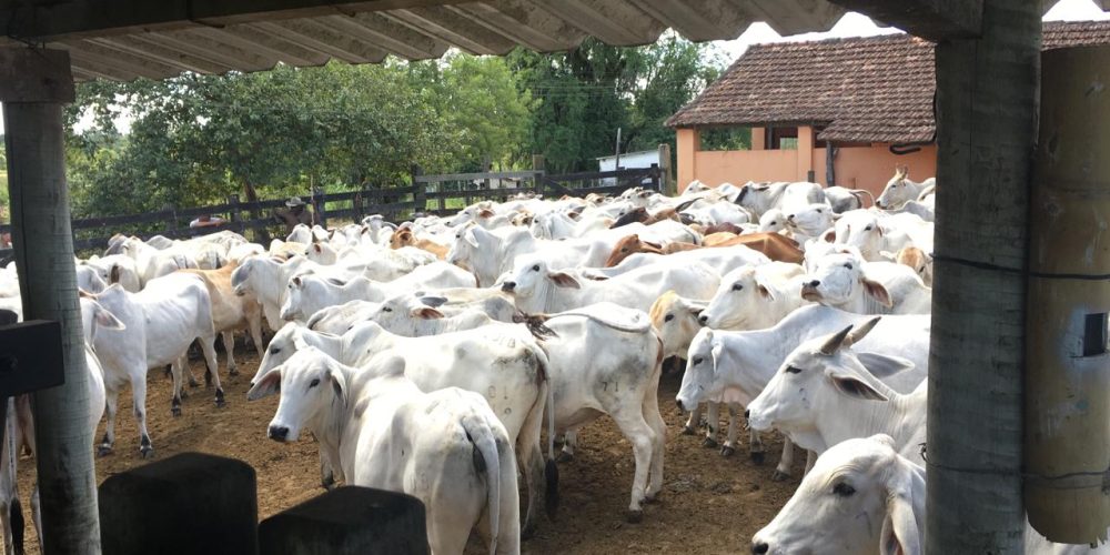 27e6a3cc-9b04-4c80-9c29-1cdfc16bfefd