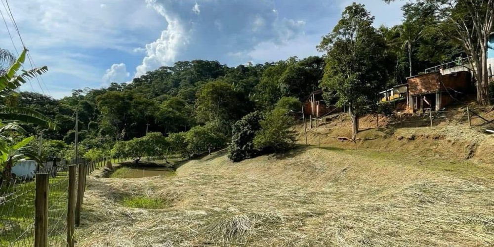 2a8179f6-13c6-404c-8d20-02720a08d1da