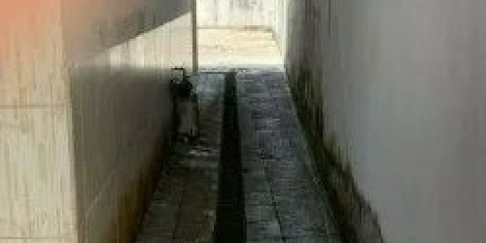 2d0860bd-e286-4e86-a53e-b884f2748420