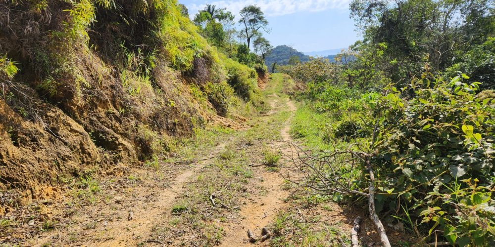 2d8adf8a-84e1-45b0-8fe8-6a390c65bcf5