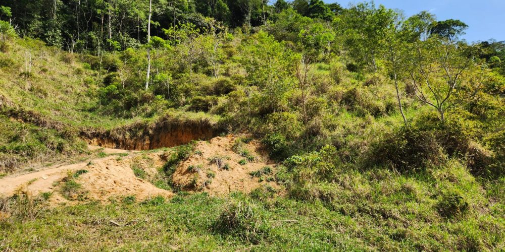 3135f9b9-2512-445f-b002-ea2864ad8a18