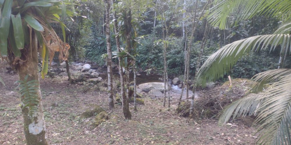 34797d8d-c52e-4144-9bb3-4cf5b4afa0d9