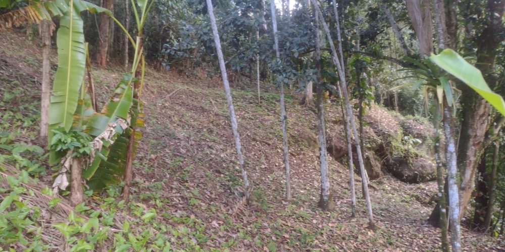 38138248-7b18-4ff2-99b4-477d46847454