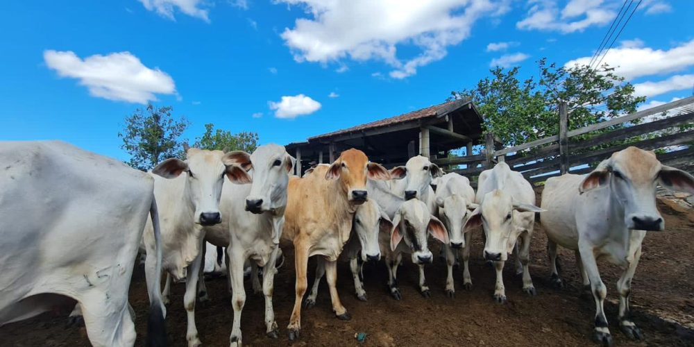 3b32cc5f-097b-4030-be86-5d33df857e49