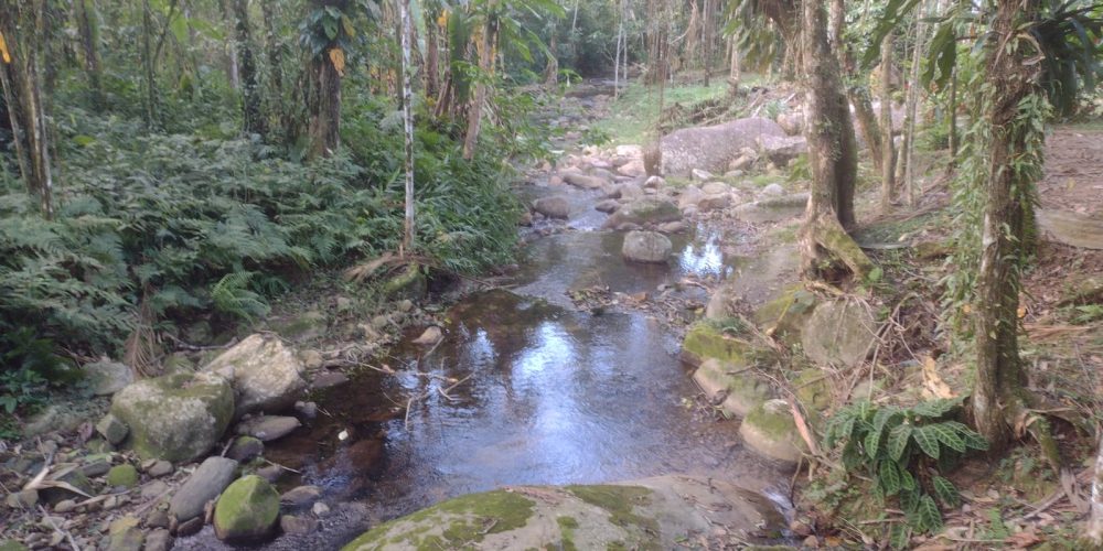 3dd096fc-5745-4a19-8da5-8aac1ffc0930