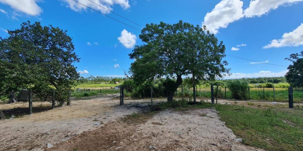 3eba2dc3-a034-4567-8cd8-e216eaf0c11b