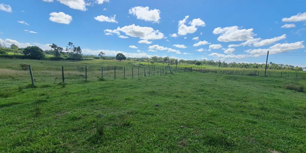 4216f5a0-a453-4149-be89-66a000b6626d