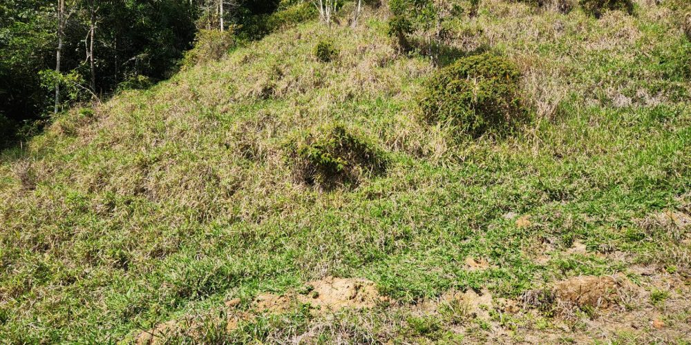 4d86ba1e-161e-46ac-ae31-1f1bd41fe4cf