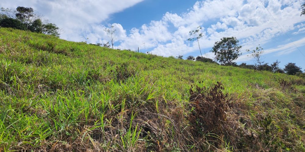 4dc08aa6-62a2-4e5e-bb58-20cba3cc4b96