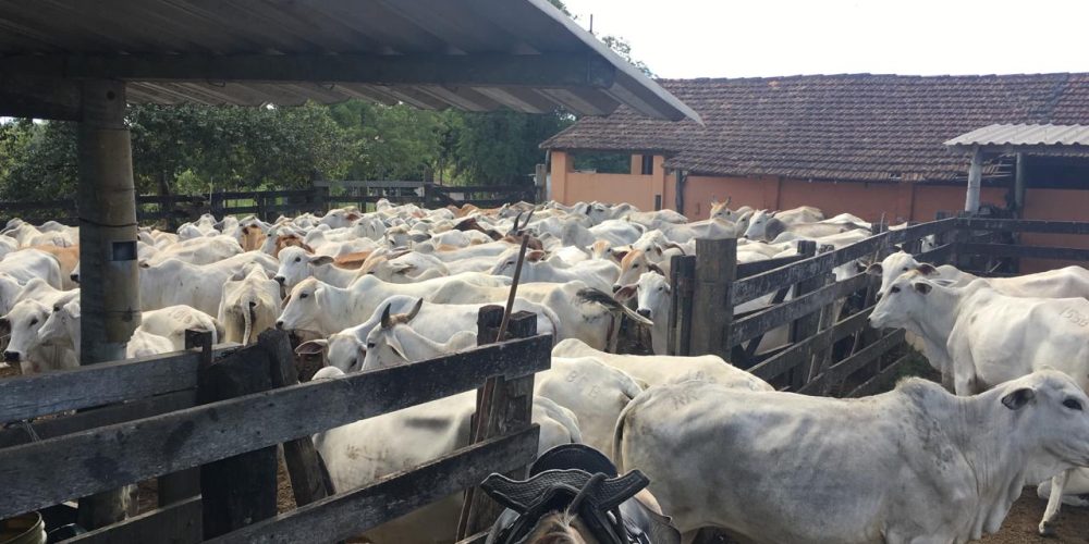 4eb5b223-b671-4d3a-84c6-45fad8890c33