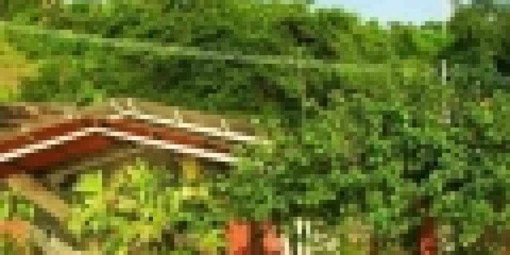 52139928-18fd-47ec-a934-a3d33426eb19