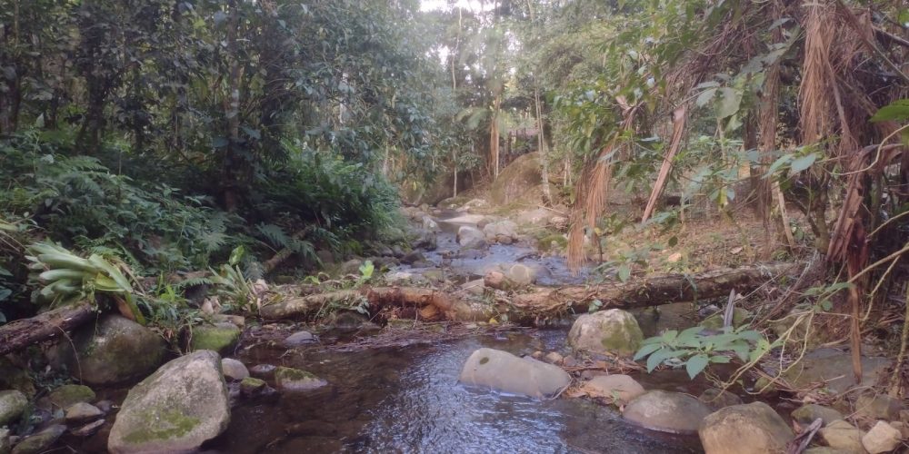 529b6460-704a-46a5-918d-bf106011ad07