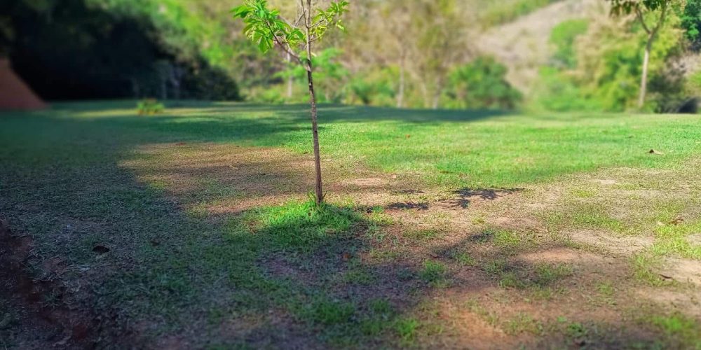 576a01e5-b30f-4b58-b91e-36a3b12dec61