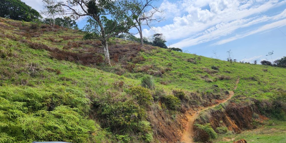 592dd553-91cf-435e-a1d4-3687eb41c291