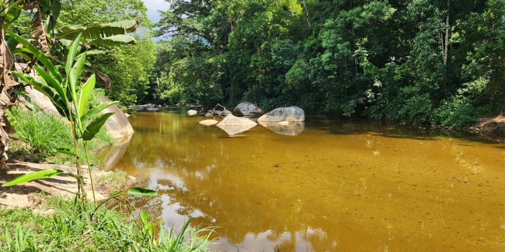 5cd81da4-51b3-4570-9edd-06478c49163f