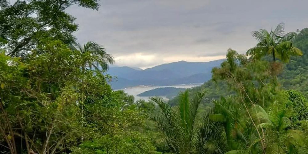 5ce5cac4-bb94-4f2c-8289-94f705ffd955