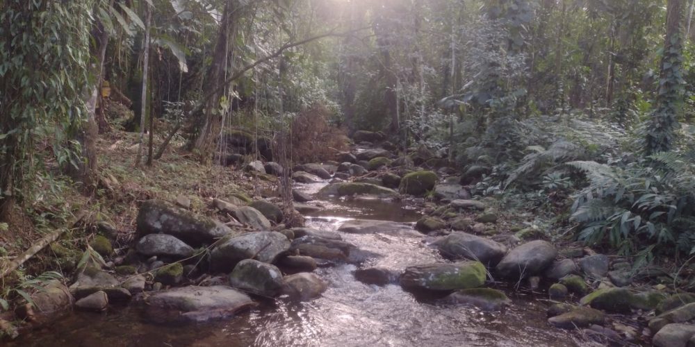 5d52c6af-9c05-4843-afac-cf4d777ce28d