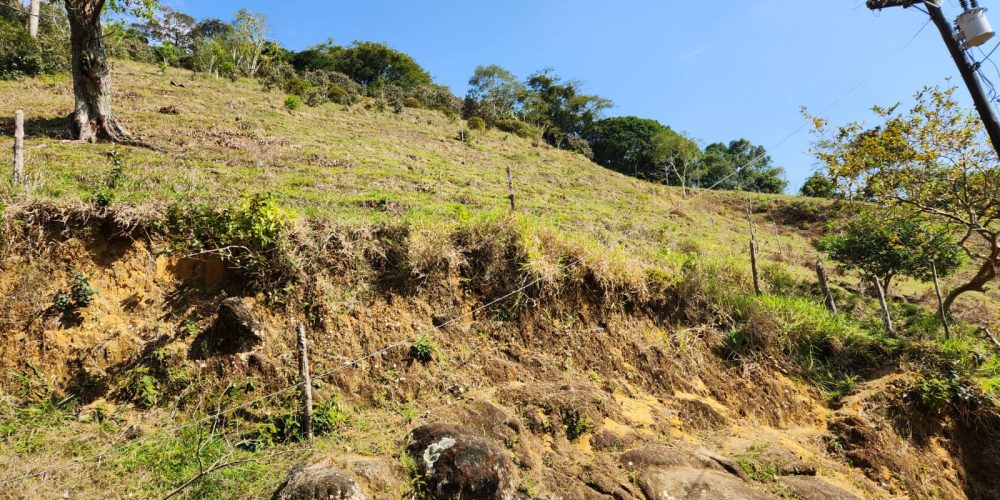 601d7577-3a41-435a-a239-38fb0f7c3d53