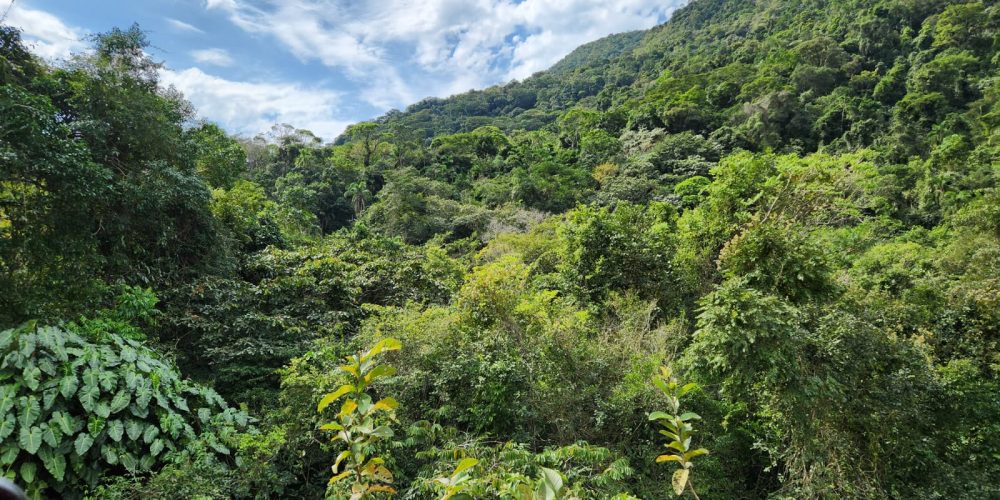 65d02c4d-b017-4c6b-a8b2-3faf1e3ddc12