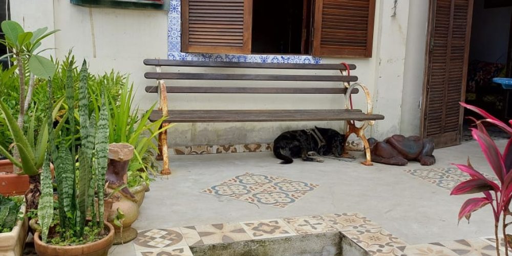 66a8c222-2251-42f3-b489-23499932f5b9