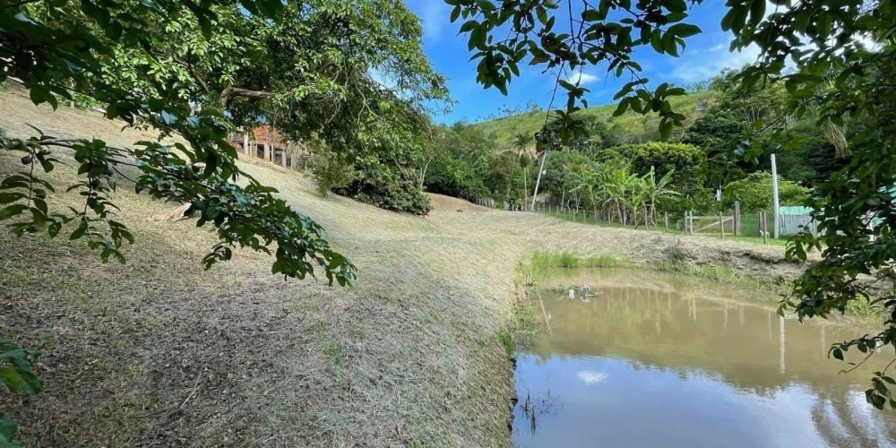 68b3a011-f791-4b6b-a2b5-b333aaf94a06