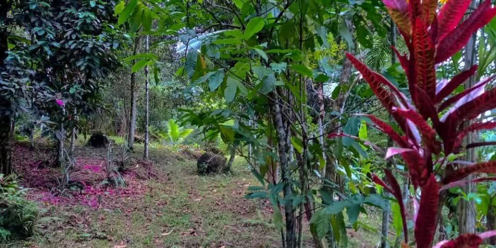 69ec0440-74b0-48d0-b0bd-5b49b9d0de81