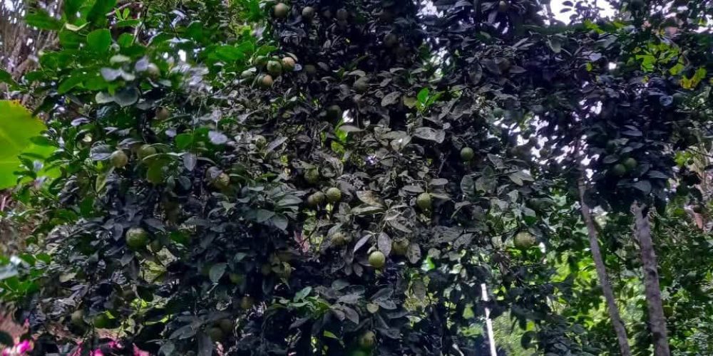 69eefe79-7689-4f87-9f09-a92176cdcd7e