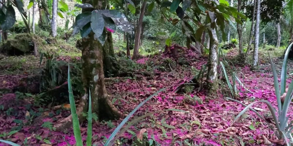 6a0d30d7-d552-4bb7-8527-3c8e95c7ef36