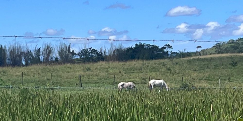 7482e9e6-50d4-4969-b738-da938123e888