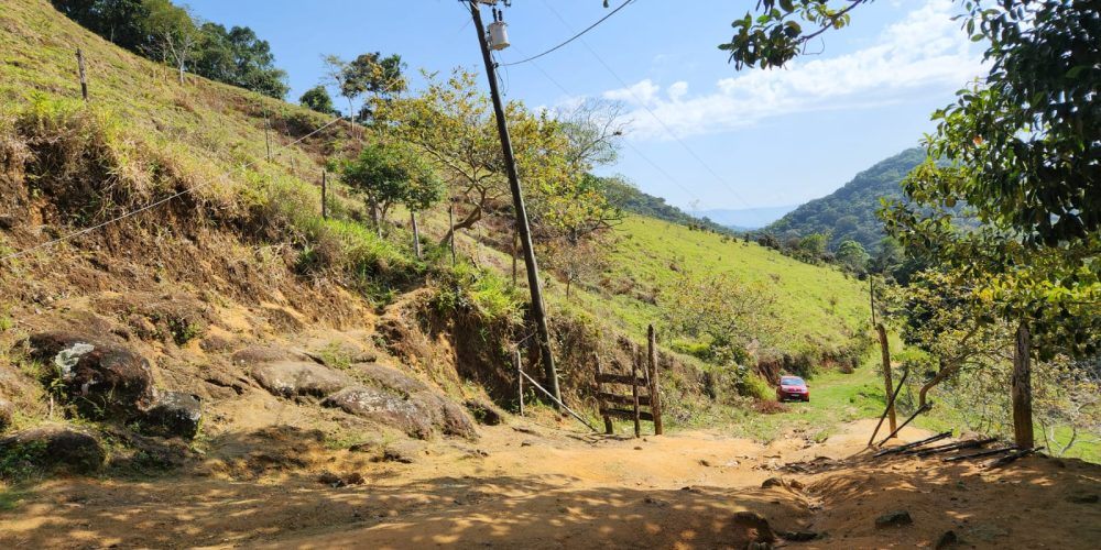 787a64ce-2909-4f9c-ba9d-a9d5072cf308