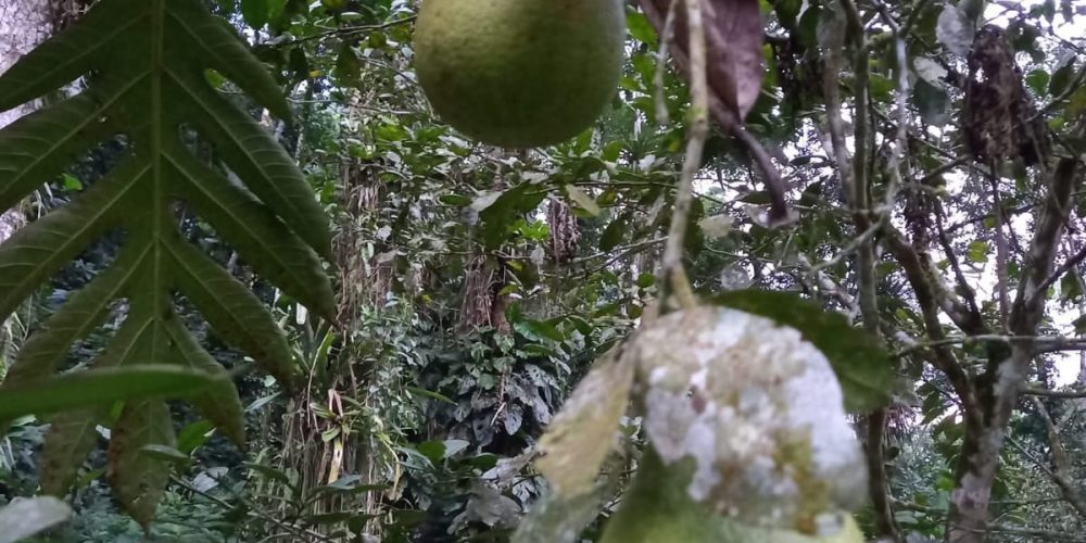 78d3664f-5b17-4e4a-aaac-74f1ff7fdb76