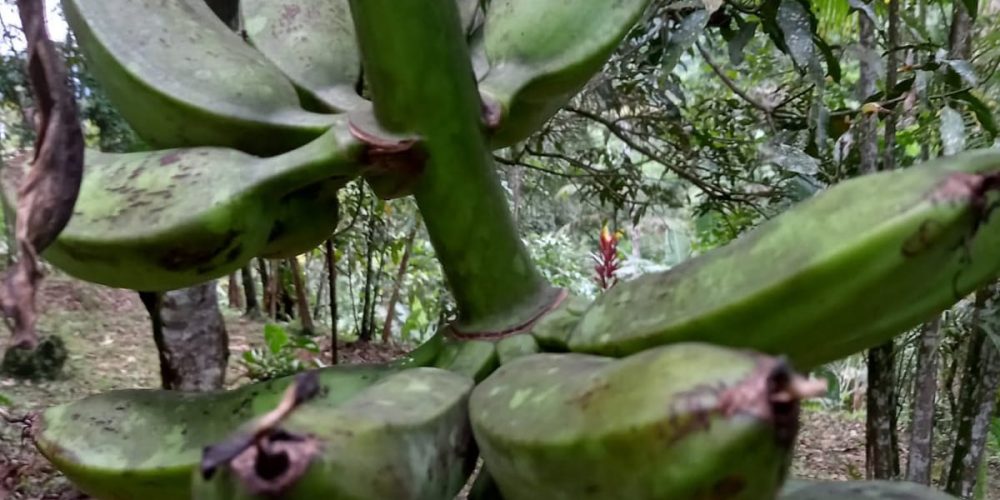 79fdedae-731d-496e-906c-cf580483e8e9