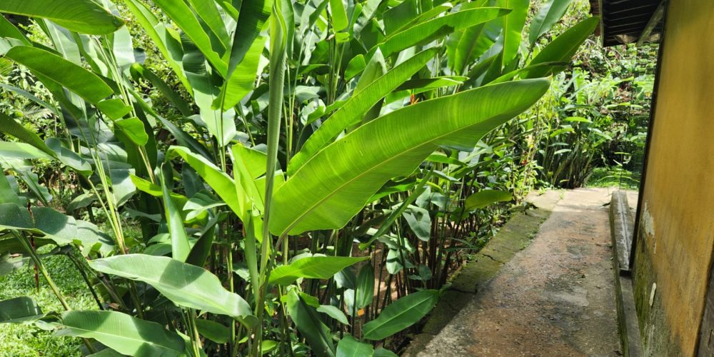 7baecdc4-effd-44df-a21c-e3668bbdf371