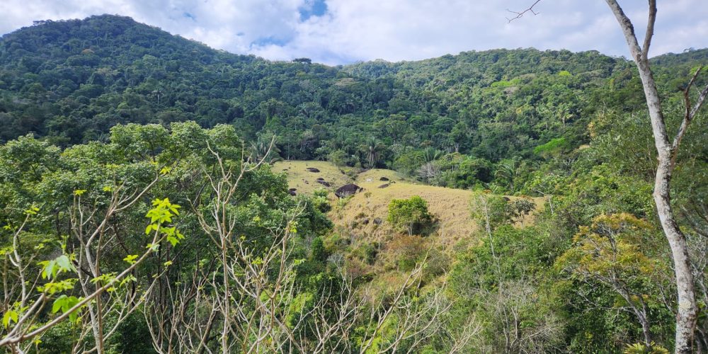 7c5daaa9-89fb-4b85-8659-6b96bccb129e (1)